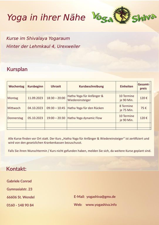 Flyer2309